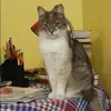 Отзыв от Наталья Широкова